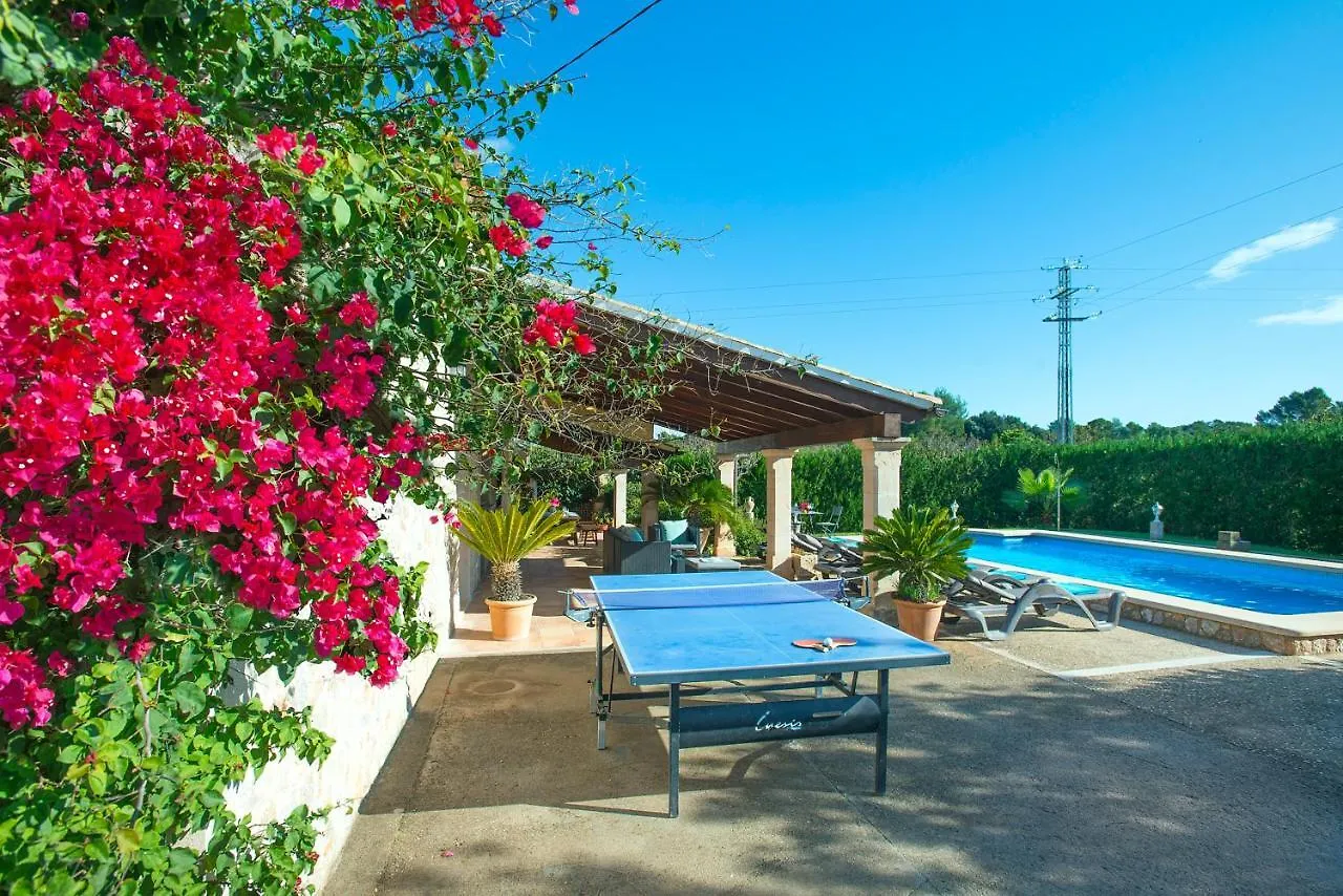 Owl Booking Villa Peric - Rustic Stay With Big Pool Pollenca